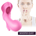 ZHERUNTAI hochwertige Fernbedienung Vibrator Frauen G-Punkt Klitoris Erwachsene Dildo Kaninchen Sexspielzeug